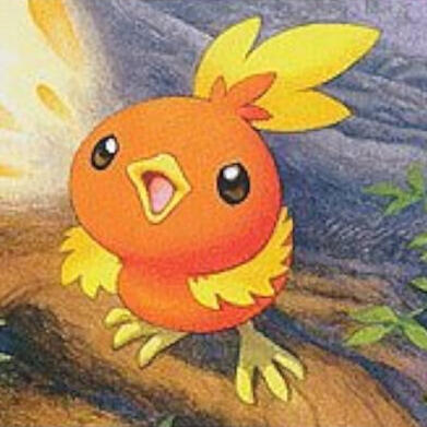 torchic